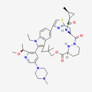 Two-dimensional structure of daraxonrasib